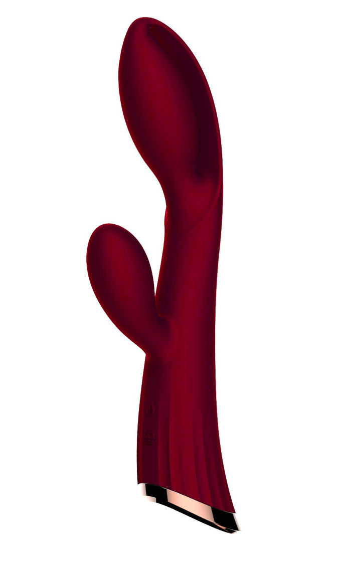 Vibromasseur rouge avec stimulateur de clitoris LRIS USB