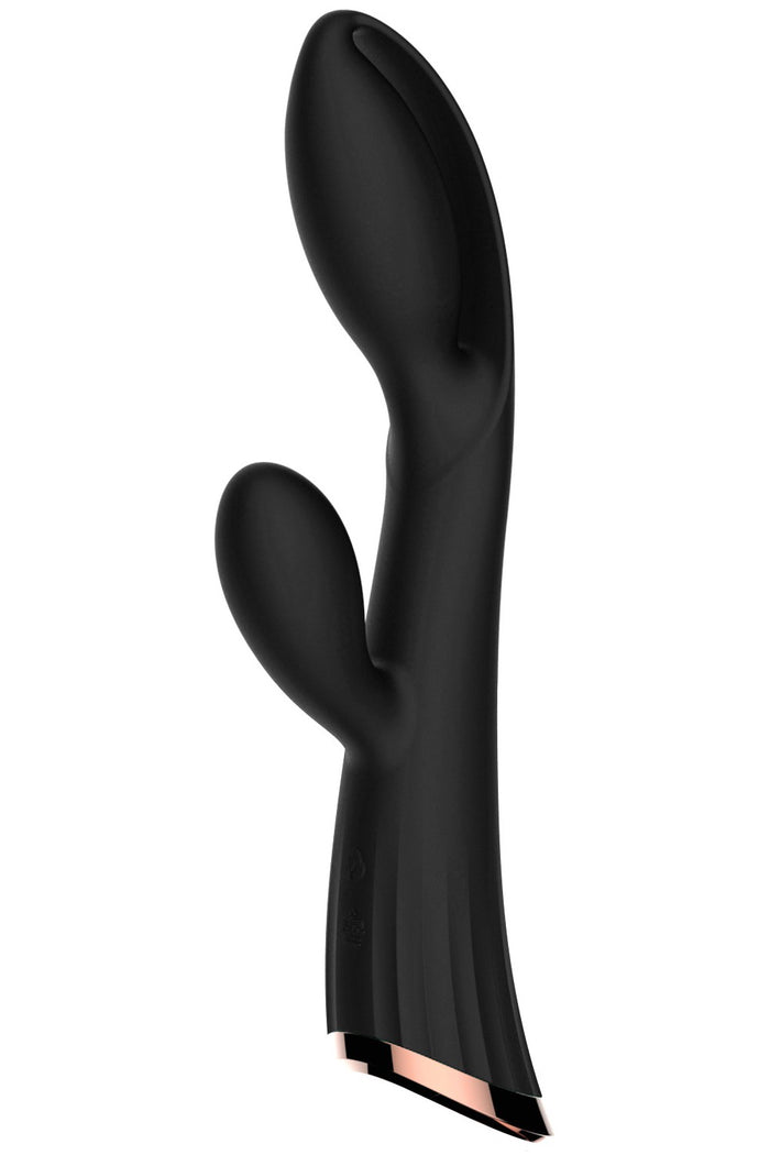 Vibromasseur noir avec stimulateur de clitoris LRIS USB