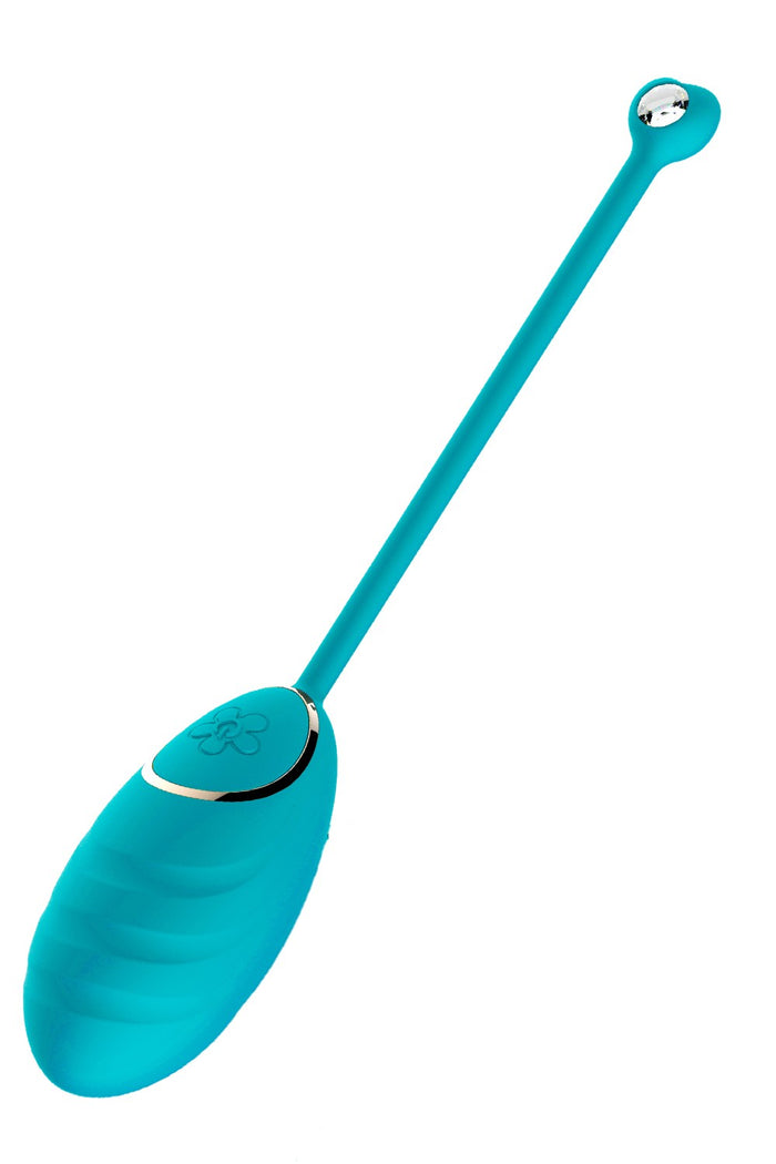 Œuf vibrant bleu avec télécommande USB