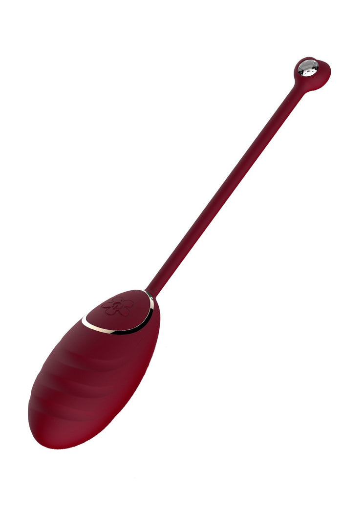 Œuf vibrant rouge avec télécommande USB